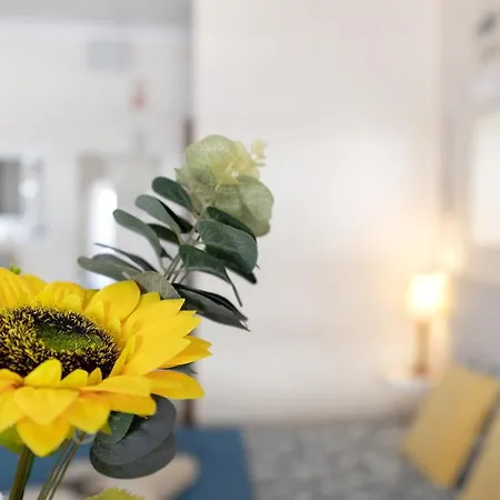 Vau Serenity Apartment