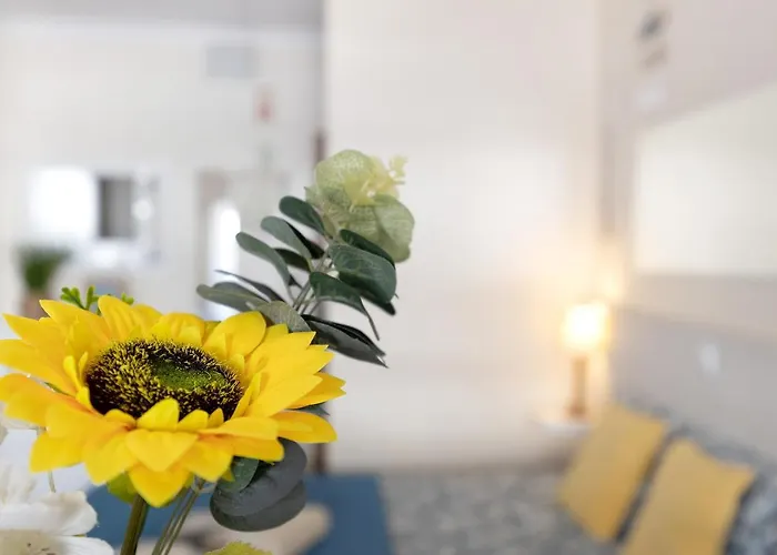 Vau Serenity Apartament